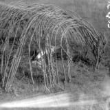Sweatlodge structure in the Waterhen River area of Northern Saskatchewan, 1930
