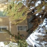 Photograph of Yusep & Ruptash Residences located at 12035-55 Street.